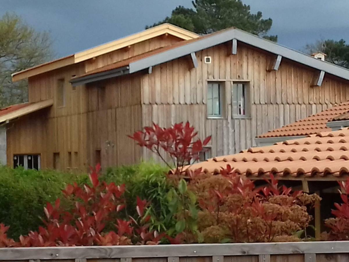 La Cabane 26 D Andernos-les-Bains Bagian luar foto